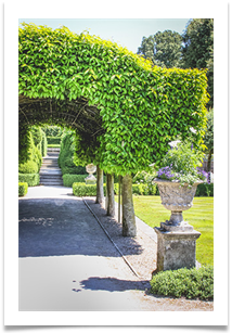 Hedge Art at Holker - Jackie Tucker